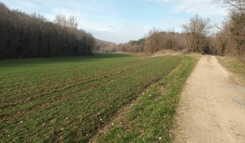 Les hauteurs du village de Saint Mamans - Rochefort-Samson