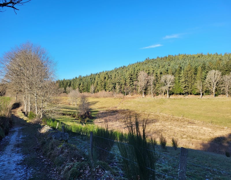 Foret de Jonzieux - Jonzieux