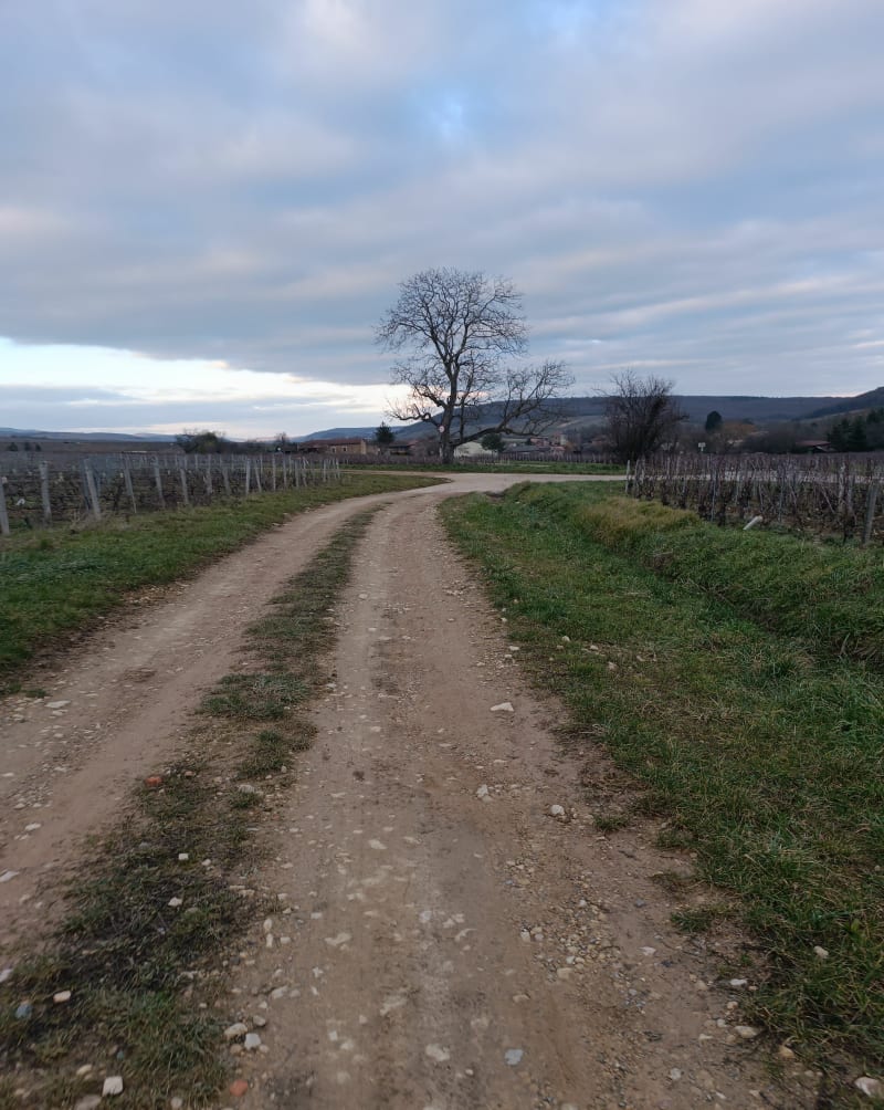 Mont de la Fa - Verzé