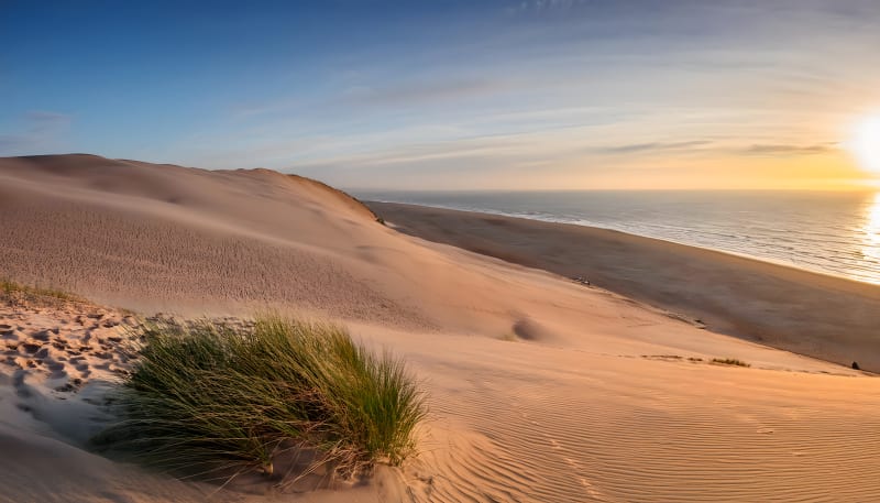 Balade sur la Dune du Pyla - La Teste-de-Buch