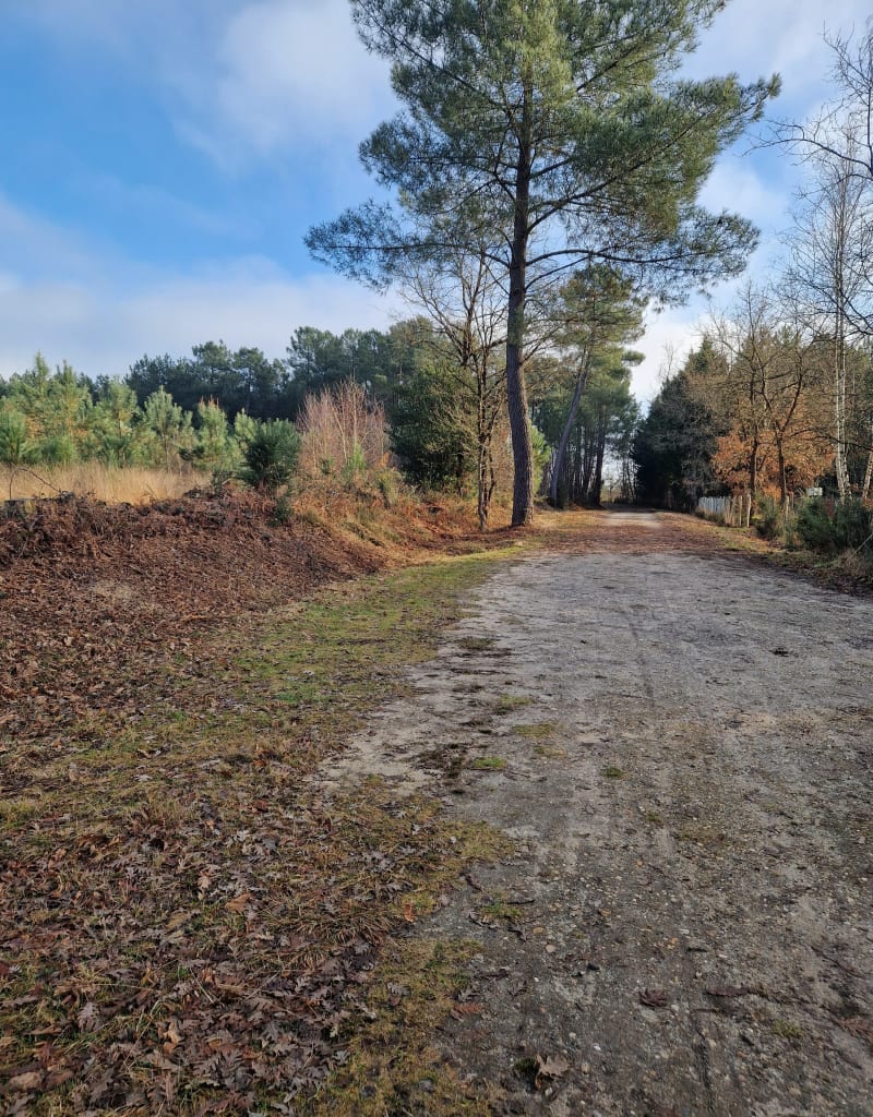 Boucle du pineau - Mézeray