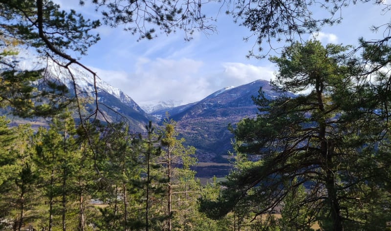 Balade sur les hauteurs d'Embrun - Embrun