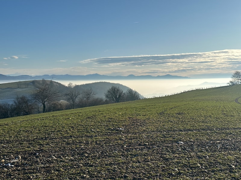 Balade d’après-midi du côté de St-Michel-de-St-Geoirs - Brion
