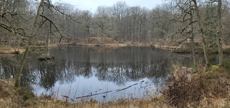 Les étangs de Vilpert et Bois de Hollande - Saint-Léger-en-Yvelines