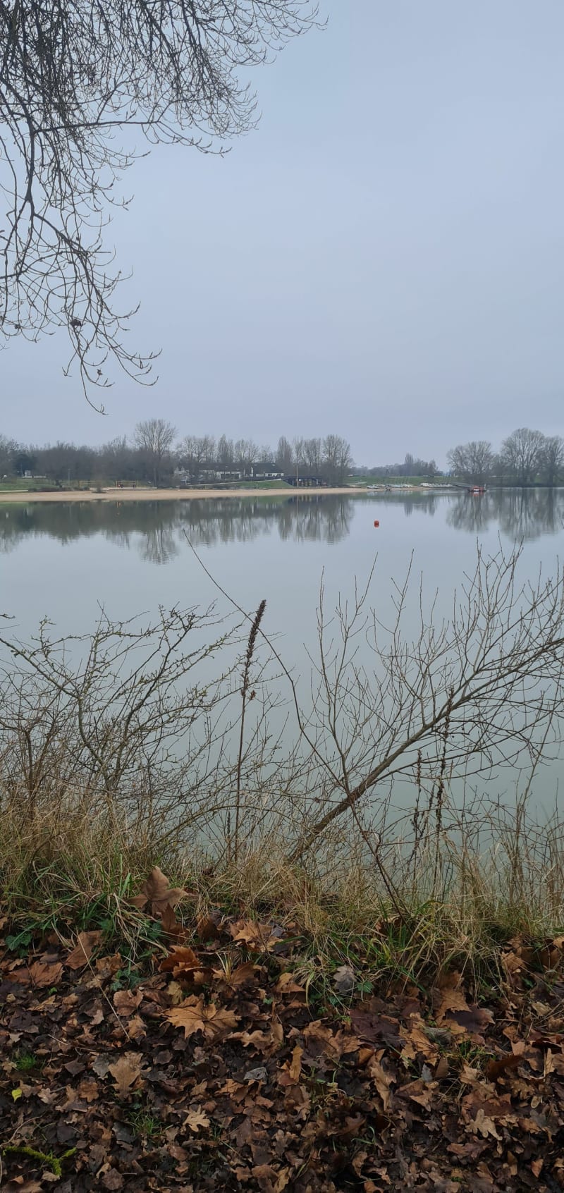 Ile de Charlemagne et Parc de Loire - Saint-Jean-le-Blanc