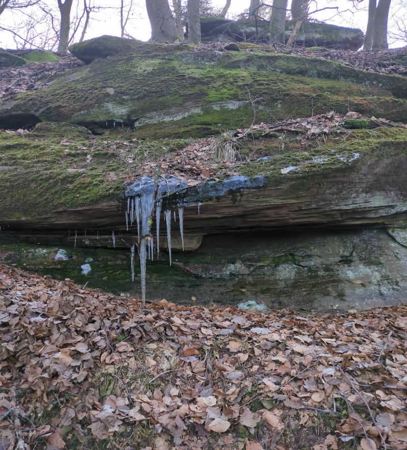 Randonnée des châteaux fort d'Alsace. - Obersteinbach
