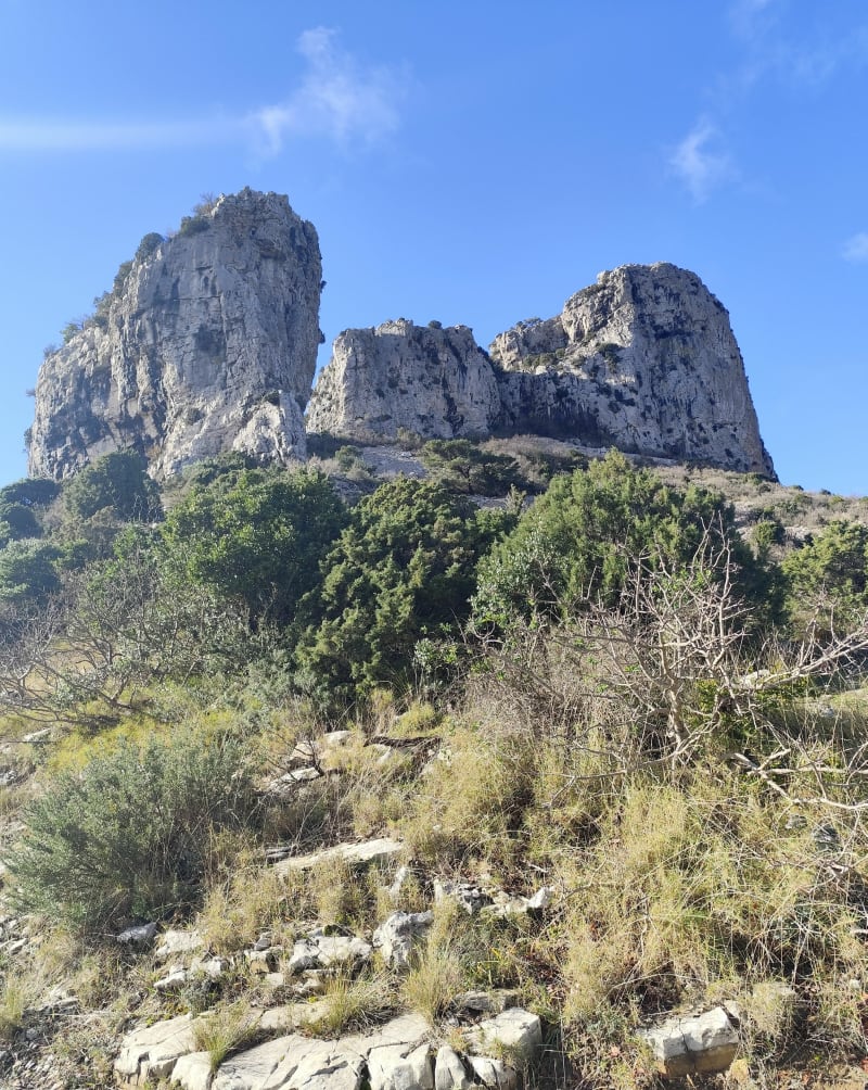 Saint-Guilhem-le-Désert, Max Nègre, forestière des Plos - Saint-Guilhem-le-Désert