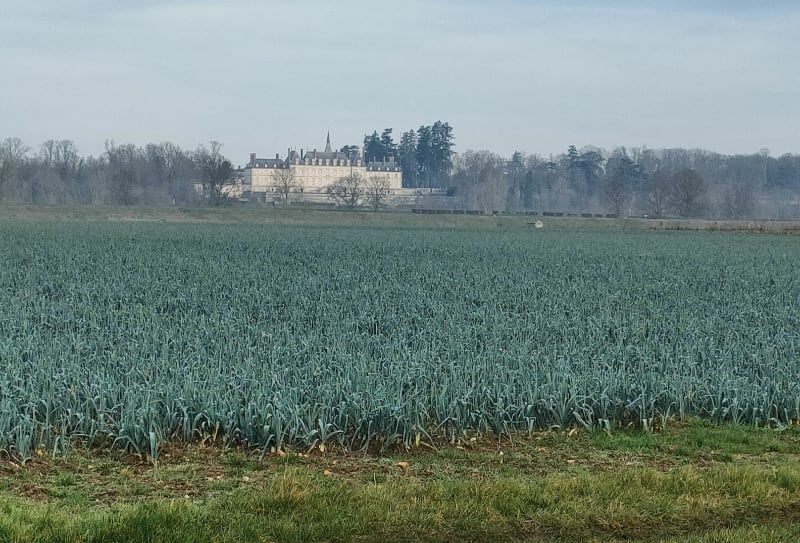 Balade à Saint Claude de Diray - Saint-Claude-de-Diray