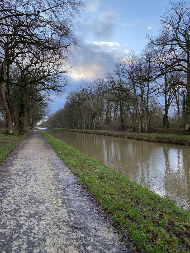 Balade le long du canal à Saint Germain sur Ille - Saint-Germain-sur-Ille