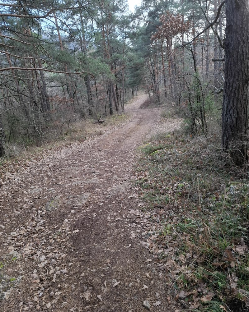 Pailhas, Rivière-Sur-Tarn, par la Barthe - Compeyre