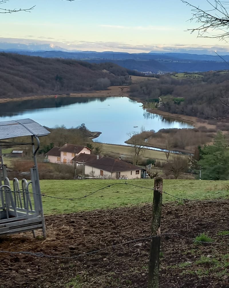 Etang de Moras - Moras