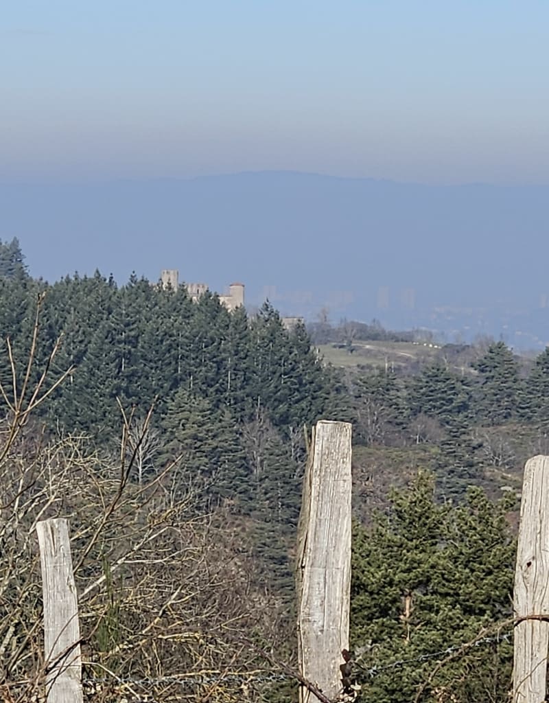 Chateau d'Essalois à partir de Chambles - Chambles