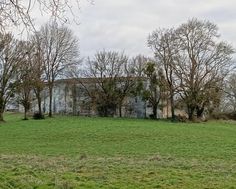 Sortie entre Bois des logis et Nieul-lès-Saintes - Nieul-lès-Saintes