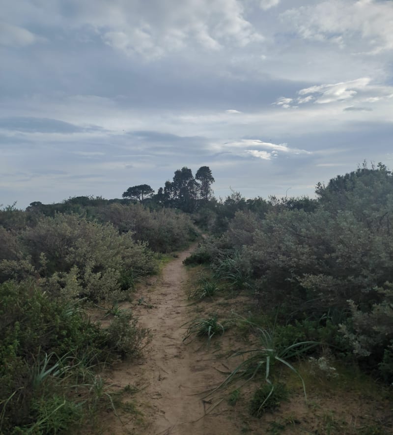 Petite boucle Marana vue étang de Biguglia - Furiani