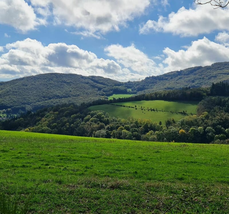 Rando Pollionnay, Col de Luère et Col de Malleval - Pollionnay