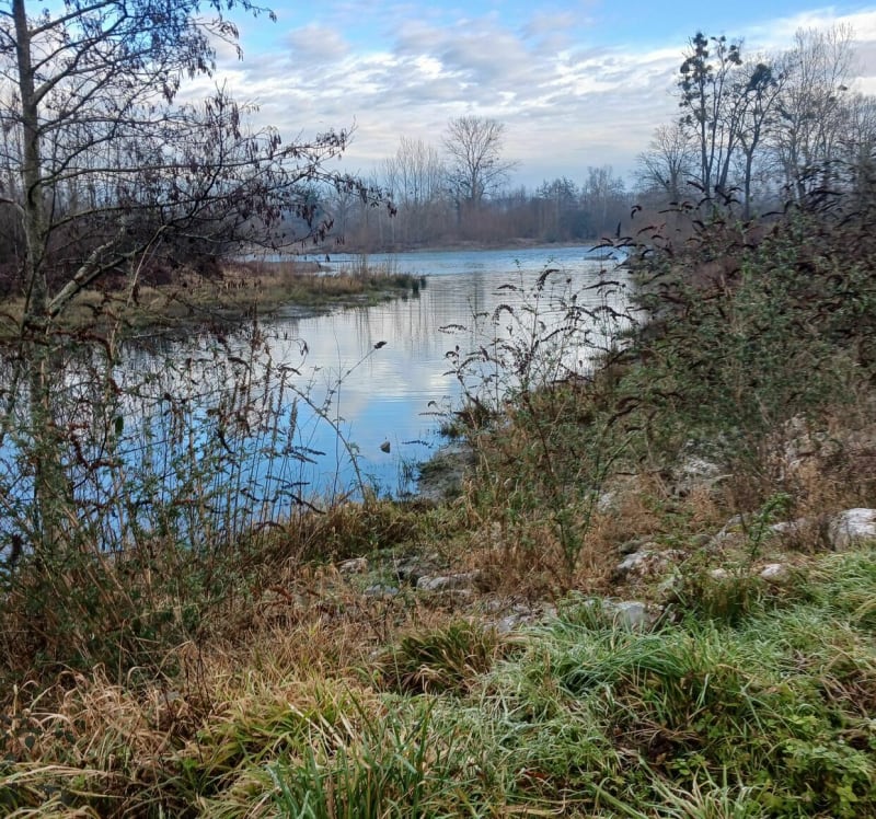 Figarol, Bois de Cramades - Figarol