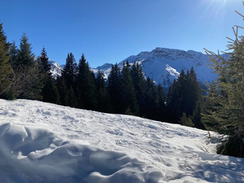 Avoriaz sur les crêtes, par Serraussaix - Morzine