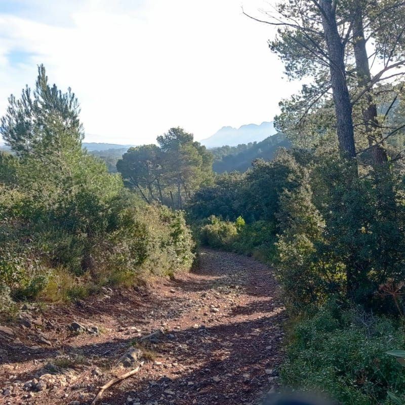 Autour du plateau de la Caume à VTT - Saint-Rémy-de-Provence