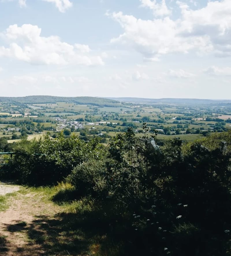 Mont Savanier et le Bois de Crun à VTT - Saint-Georges-sur-Erve