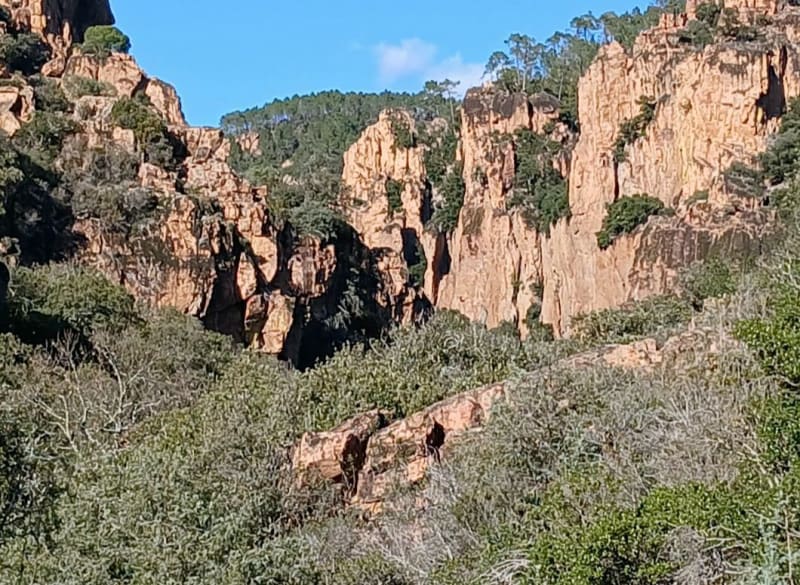 Balade en foret de Saint Raphaël - Roquebrune-sur-Argens