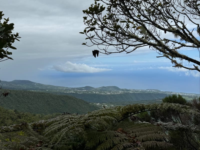Boucle des Margosiers et piton du Rond - Saint-Joseph