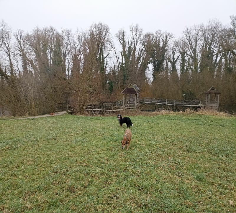 Balade à Wavrin - Wavrin