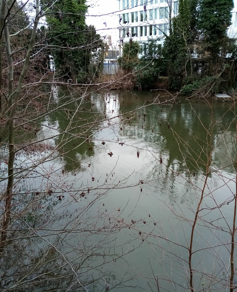 Balade entre les eaux près du parlement européen - Schiltigheim