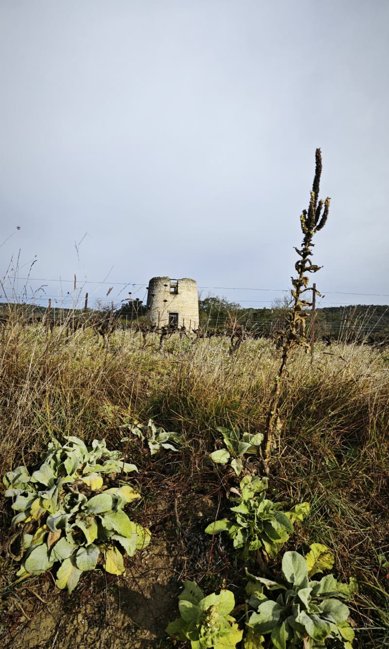 Villelongue d'Aude par Sainte Barbe - Villelongue-d'Aude