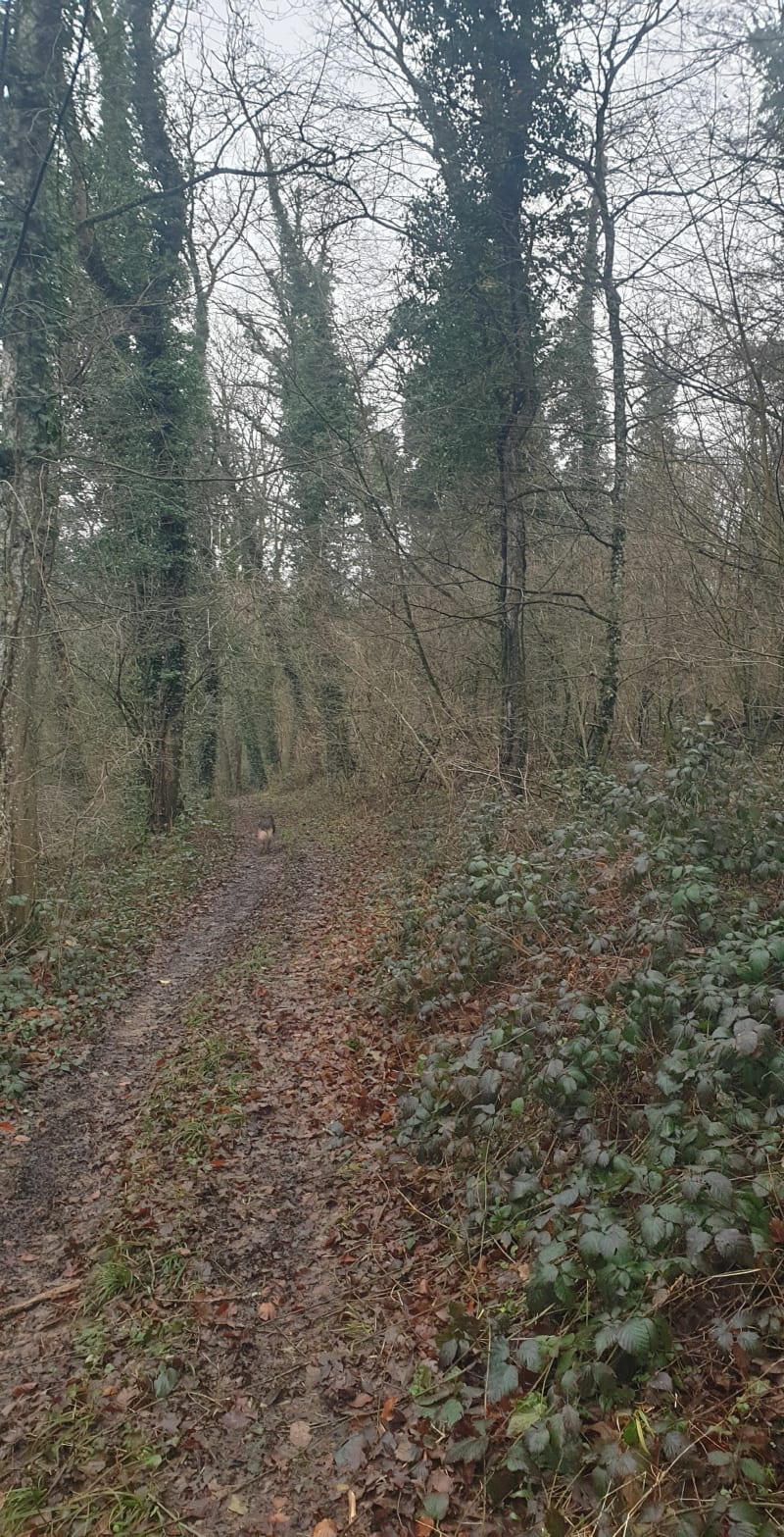 Sur les hauteurs de Longuyon - Longuyon