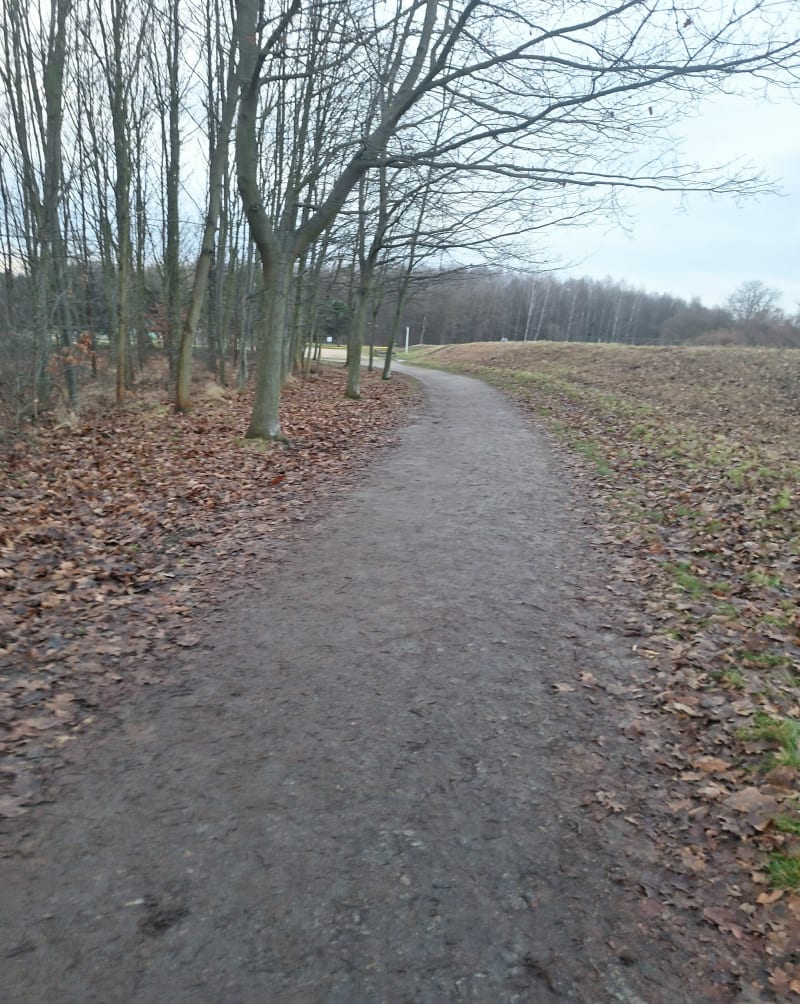 Park Tysiąclecia po obu stronach rzeki - Wrocław