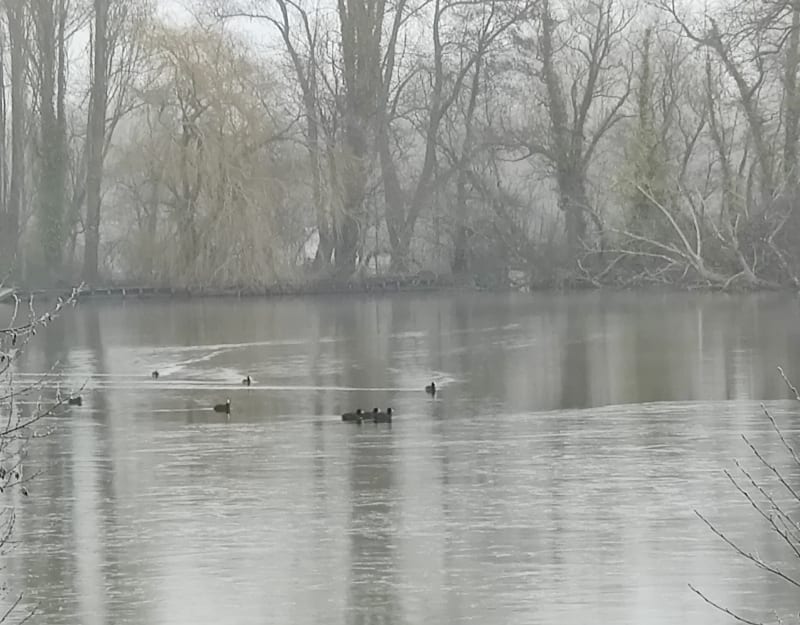 Balade au lac d'Ardres - Ardres