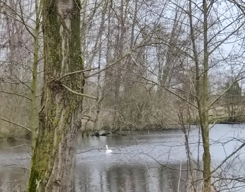 Balade au lac d'Ardres en fin de journée - Ardres