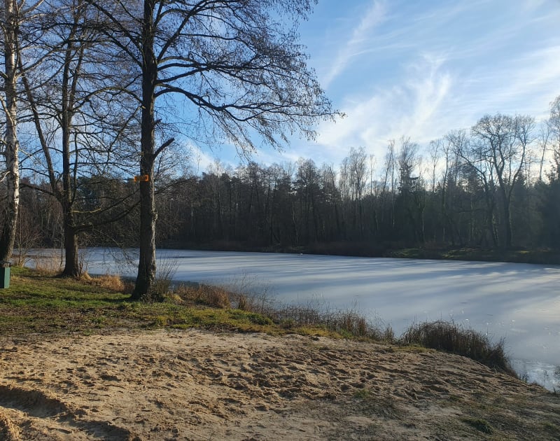 Sokolnikach Lesie - Sokolniki-Las