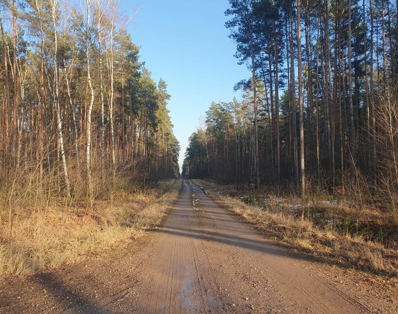 Leśnej dukty - Duraj