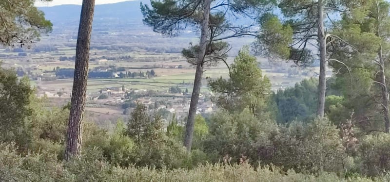 Balade forestière sur Villelaure - Villelaure
