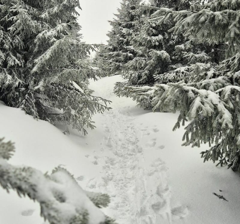 Trasa z Kletno na Śnieżnik - Kletno