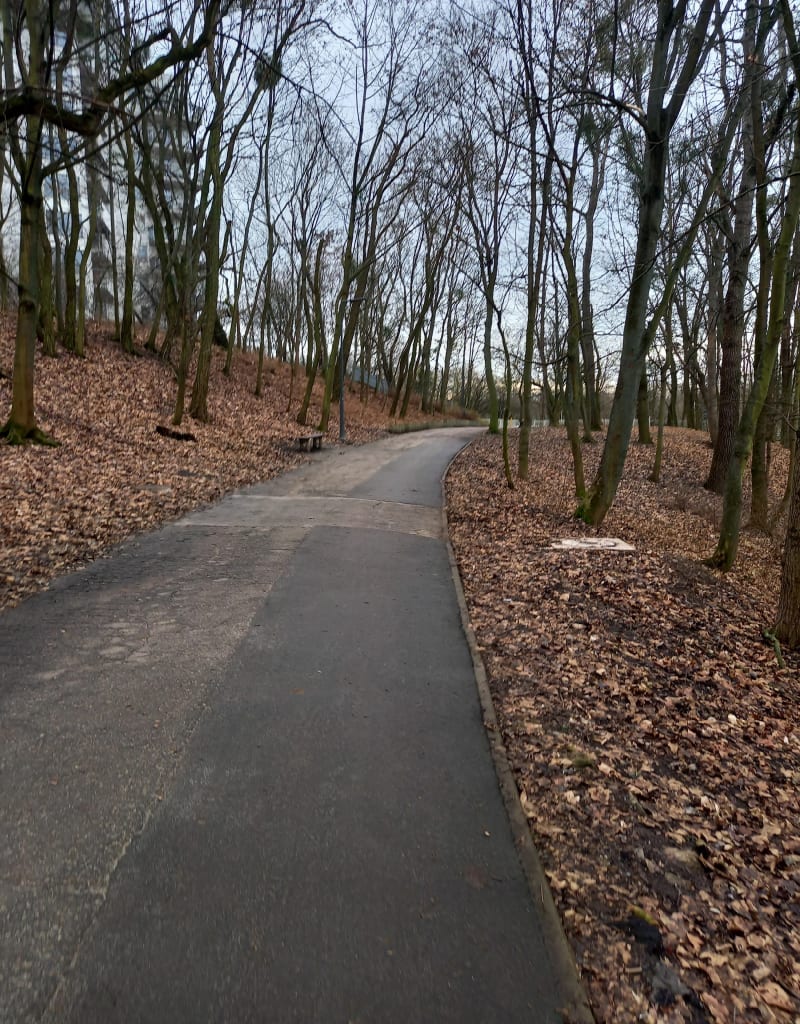 Ratajska łatwizna - Poznań