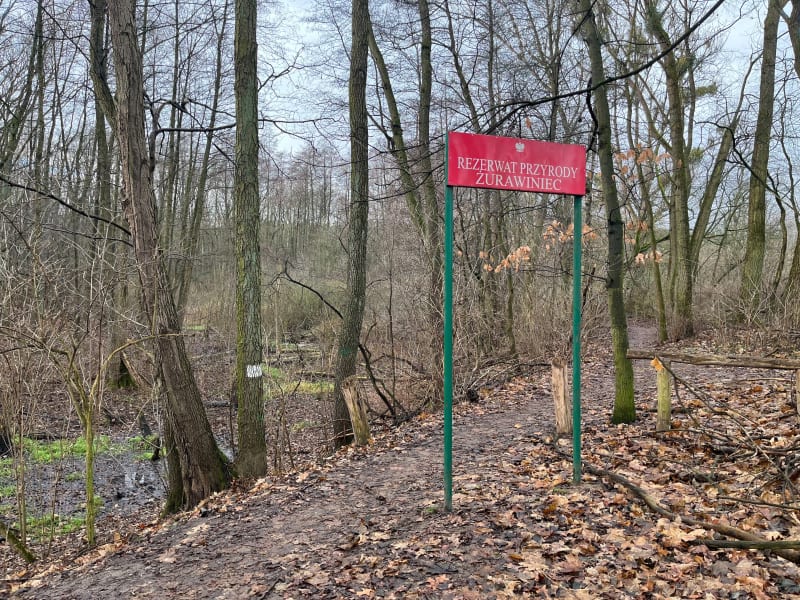 Zielone zakątki północnego Poznania - Poznań