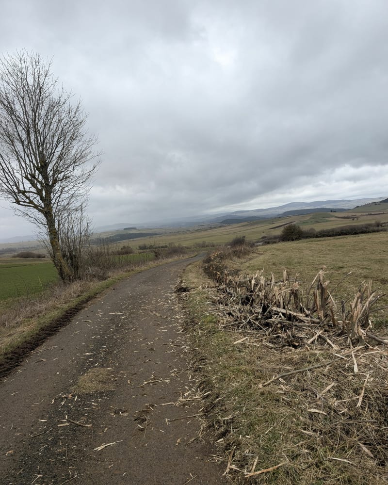 Boucle de Courmarcès en passant par Lutaud - Saint-Martin-de-Fugères