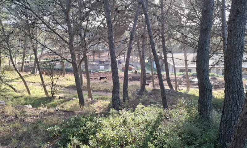 La boucle du Deven - Istres