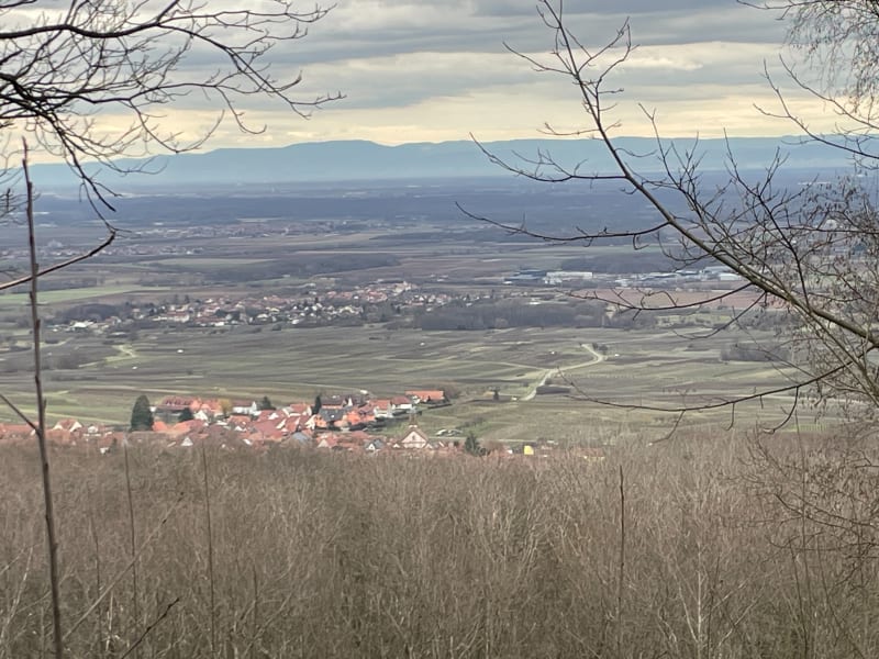 Montée du Moenkalb - Heiligenstein
