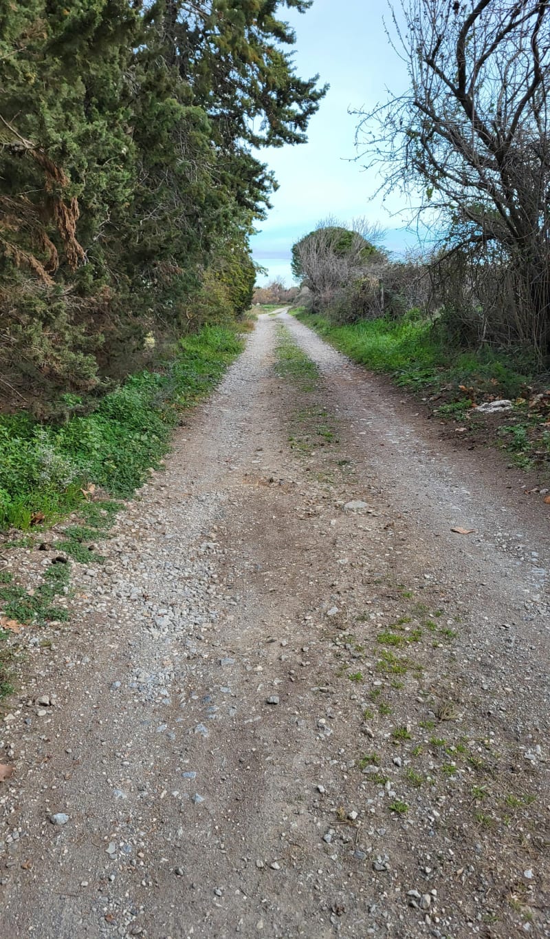 Balade gare de la Franqui - Leucate