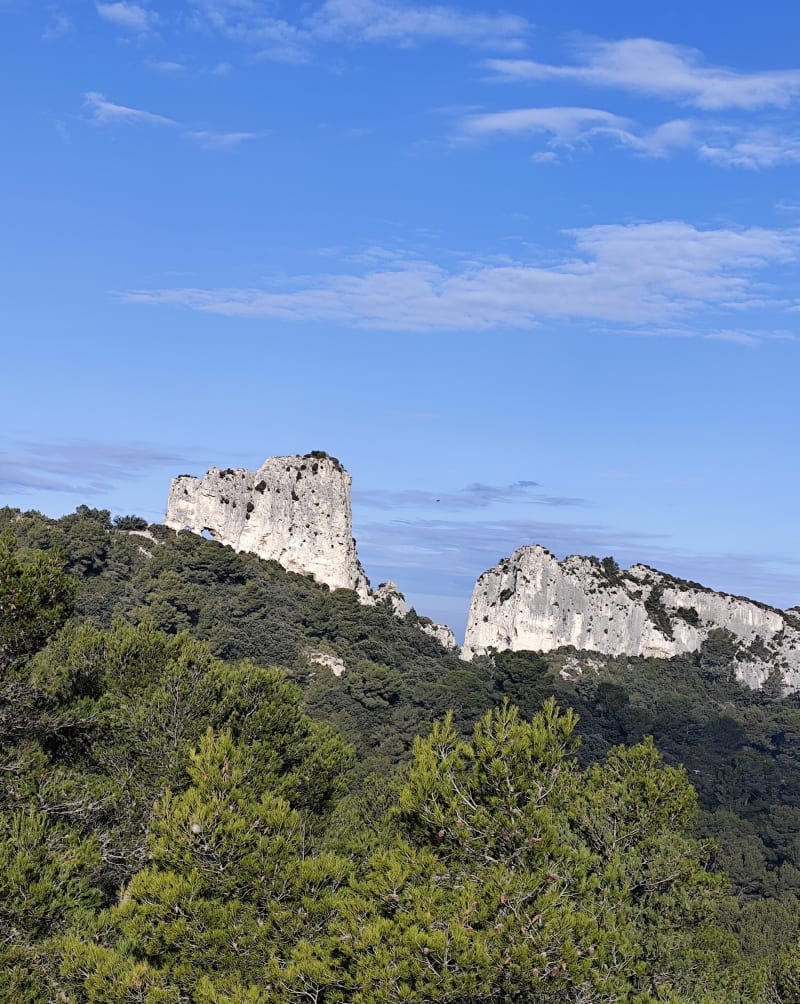 Sur la Crête des Alpilles - Saint-Rémy-de-Provence