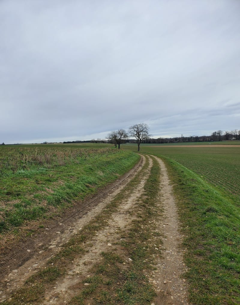 De Ste Euphémie au Boujard, à travers champs - Sainte-Euphémie