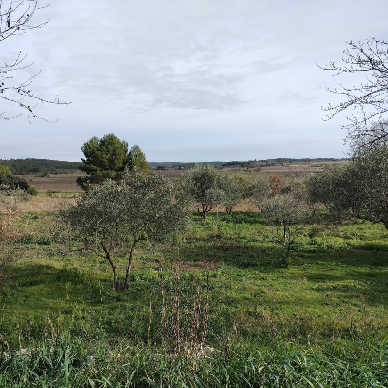 Petite promenade par les Oules - Aigues-Vives
