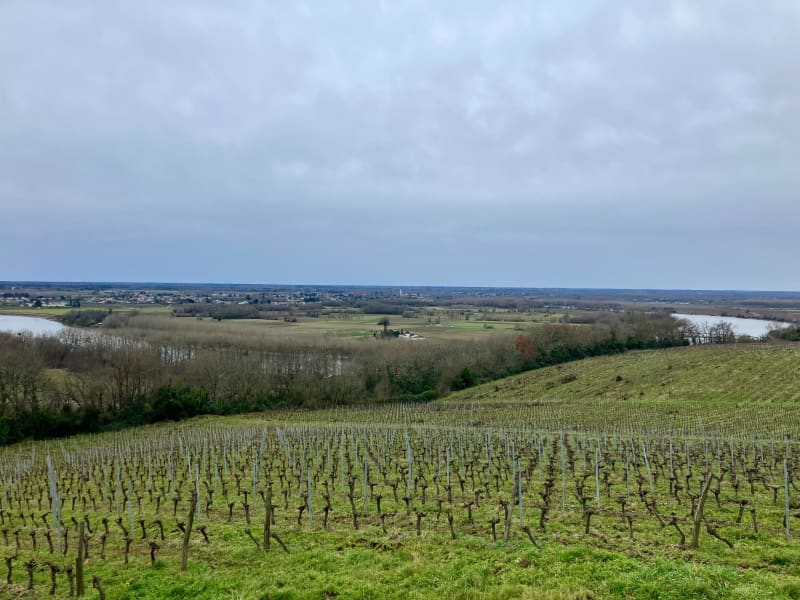 Langoiran : ses coteaux, la Garonne et son patrimoine - Langoiran