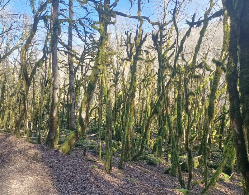 Les Pertes de Valserine et pont des Oules - Valserhône