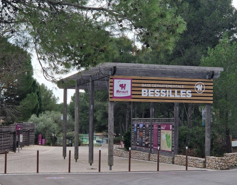 Les coteaux de Bessilles - Montagnac