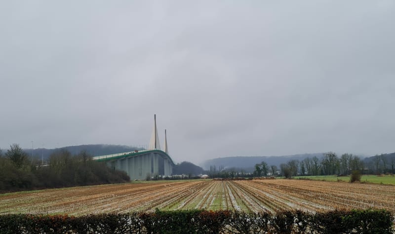 Boucle de brotonne par forêt  et marais - Arelaune-en-Seine