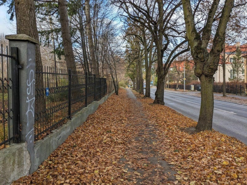 Wycieczka objazdowa po Lesie Oliwskim i Oliwie - Gdańsk